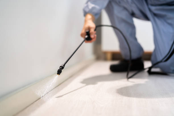 Rodent Entry Point Assessment in Surfside