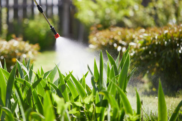 Tamper-Resistant Bait Stations for Rodents in Surfside