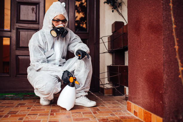 Attic and Crawl Space Rodent Treatment in Surfside